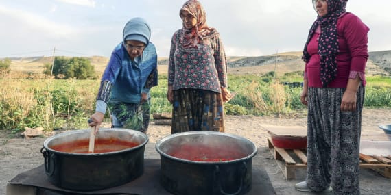Ayaş Domatesiyle Yapılan En iyi Tarifler