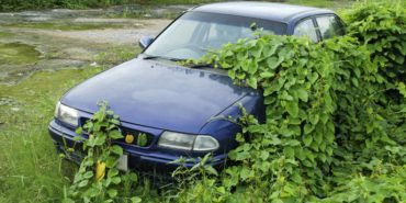 Donate Car to Charity in California