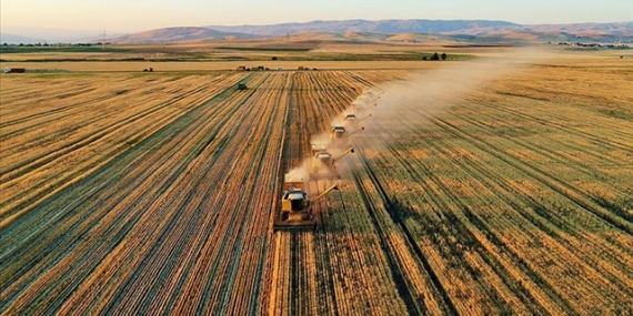 Çiftçilere 279 Milyon Liralık Tarımsal Destekleme Ödemesi Yapılıyor