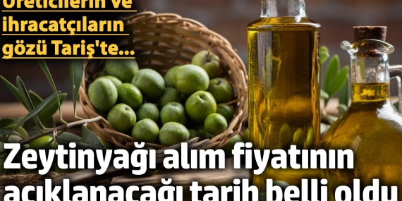 Tariş Zeytinyağı Fiyatı Ocak Ayında Belirlenecek: İhracat ve İç Piyasada Son Durum