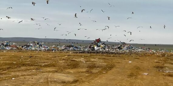 Tuz Gölü’ne Deşarj Edilen Atıklar İçin ASKİ’ye 5 Milyon Liralık Ceza!