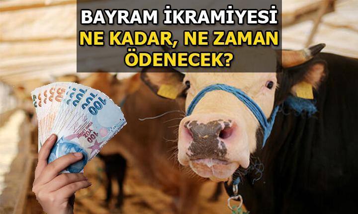 EMEKLİLİK SİSTEMİ HABERLERİ: Kurban Bayramı ikramiyesi ne zaman, ne kadar  ödenecek? İşte 2023 yılı Kurban Bayramı emekli ikramiyesi tahmini...