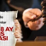 emsal-karar