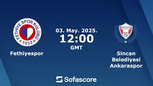 Fethiyespor - Sincan Belediyesi Ankaraspor canlı skor, baş başa ve kadrolar | Sofascore