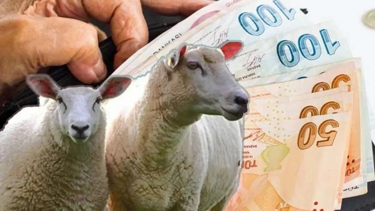Kurban Bayramı öncesi emekli maaşı yatacak mı? 4A, 4B, 4C emeklileri için  kritik açıklama