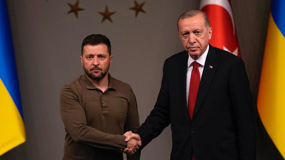 Erdoğan ve Zelenskiy görüşmesi: 'Bu savaş artık sona ermelidir' | Euronews