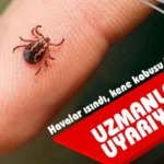 kene haberleri ankarahaberler