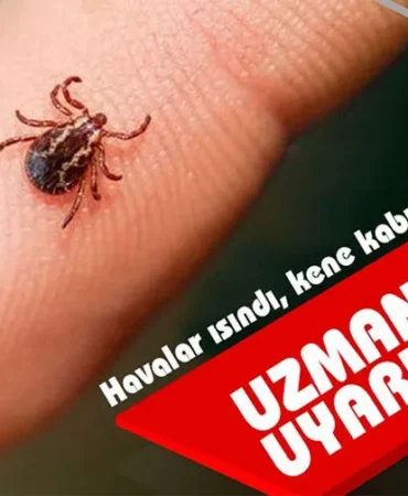 kene haberleri ankarahaberler