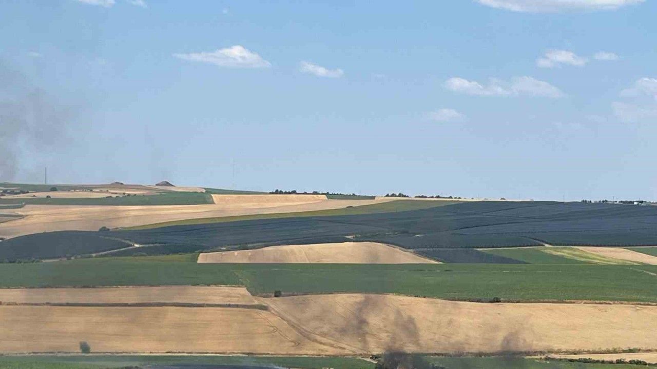 150 Dönüm Buğday Tarlası Yangında Zarar Gördü