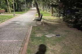 aksam-yuruyusuyle-bagirsak-kanserine-karsi-korunun-dFLK7IEJ.jpg